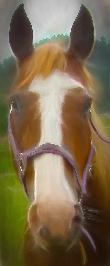 Sweet Face Horse Painting Digital Art by Cathy Anderson