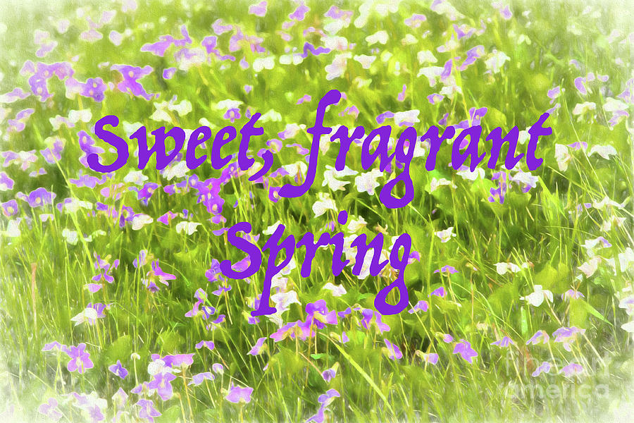 Sweet Fragrant Spring Photograph by Marilyn Cornwell