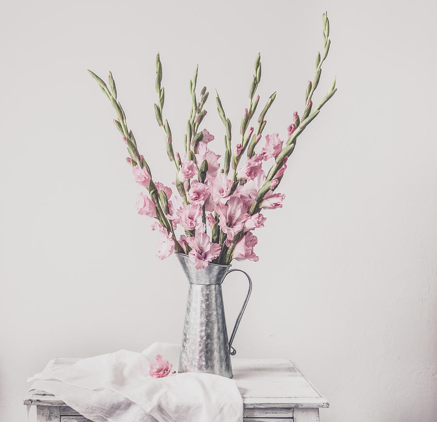 Sweet Gladiolus Photograph by Kim Hojnacki
