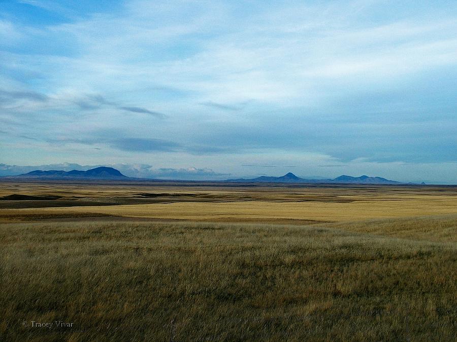 Sweet Grass Hills  Prairie View Photograph by Tracey Vivar