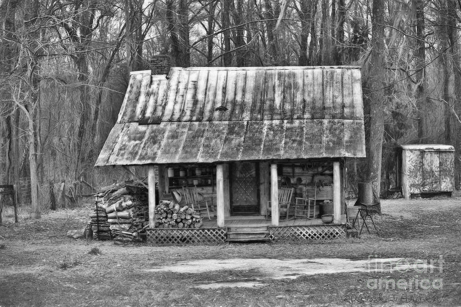 Sweet Home Alabama Photograph by David Arment