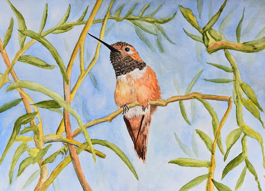 Sweet Hummingbird Painting by Linda Brody