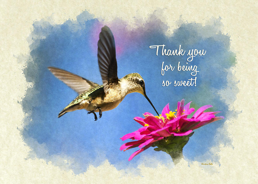 Sweet Hummingbird Thank You Card Mixed Media by Christina Rollo