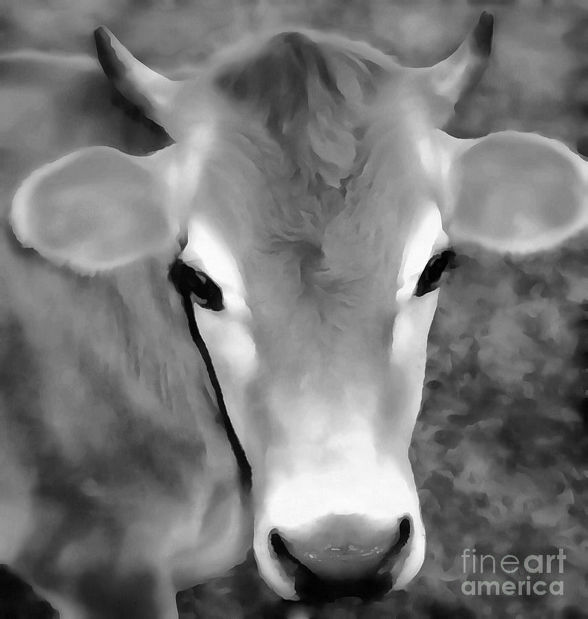 Black And White Painting - Sweet Jersey Girl - Jersey cow by Janine Riley