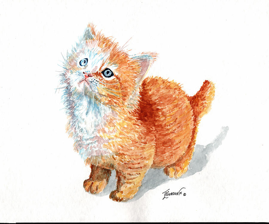 Sweet kitty Painting by Timithy L Gordon