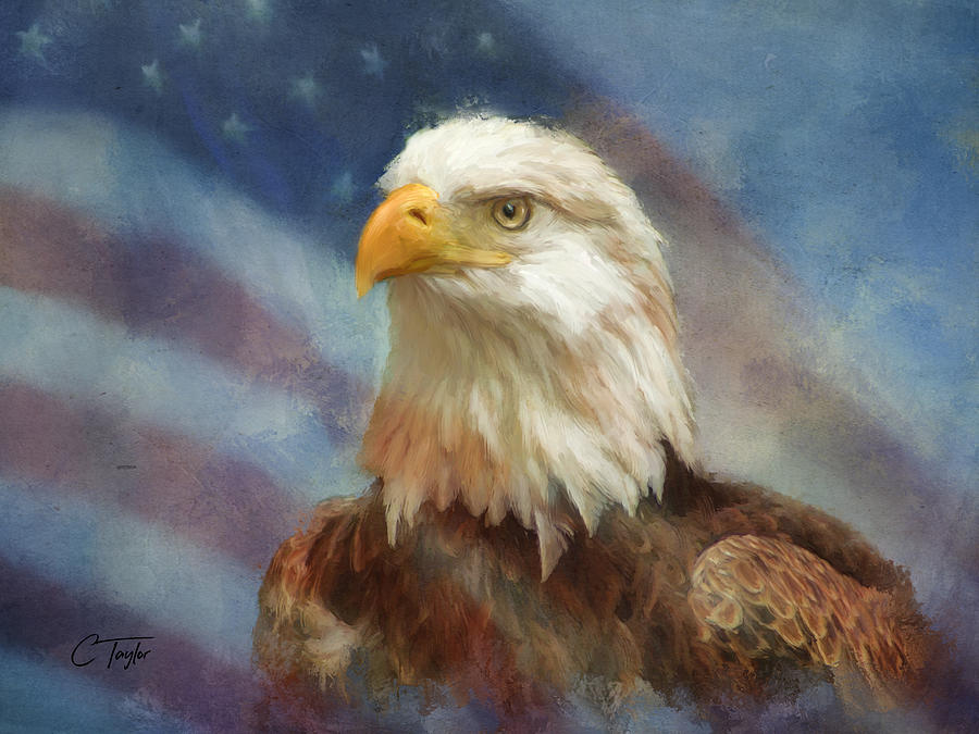 Sweet Land of Liberty Painting by Colleen Taylor