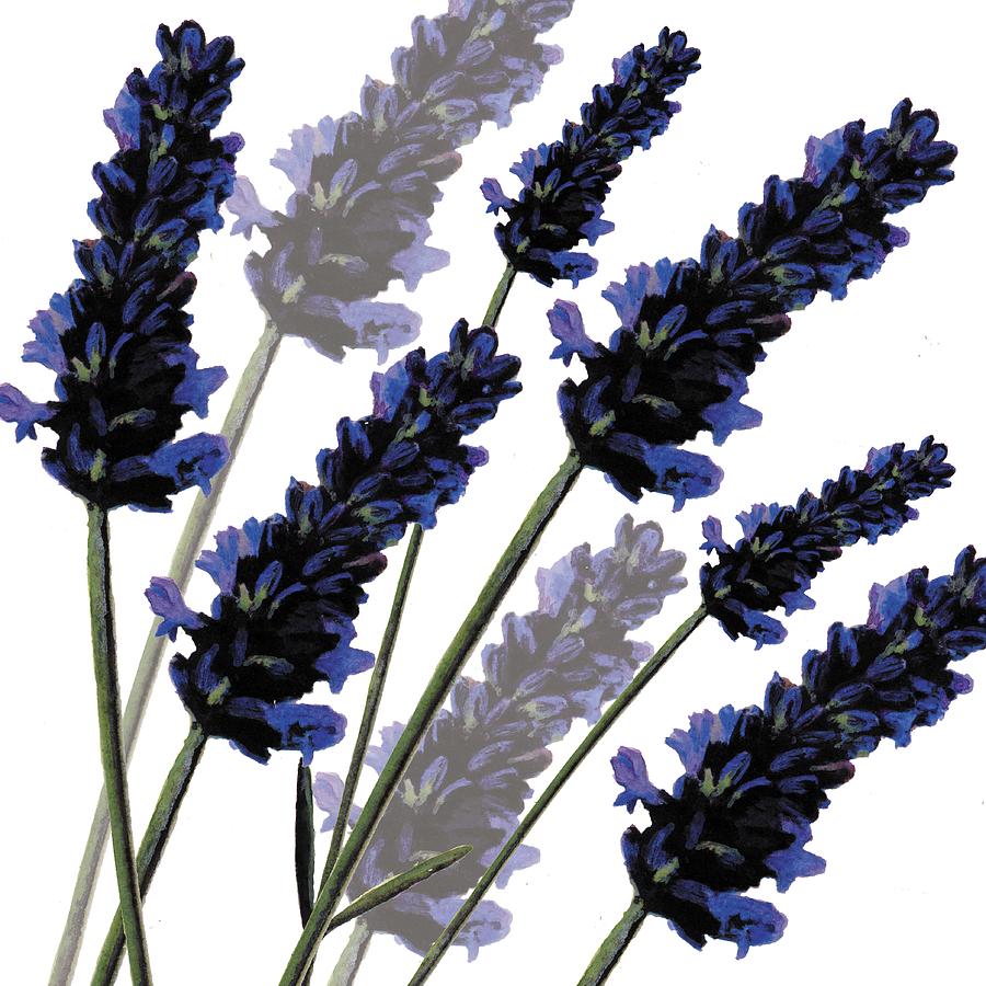 Flower Digital Art - Sweet Lavender by Sarah Hough