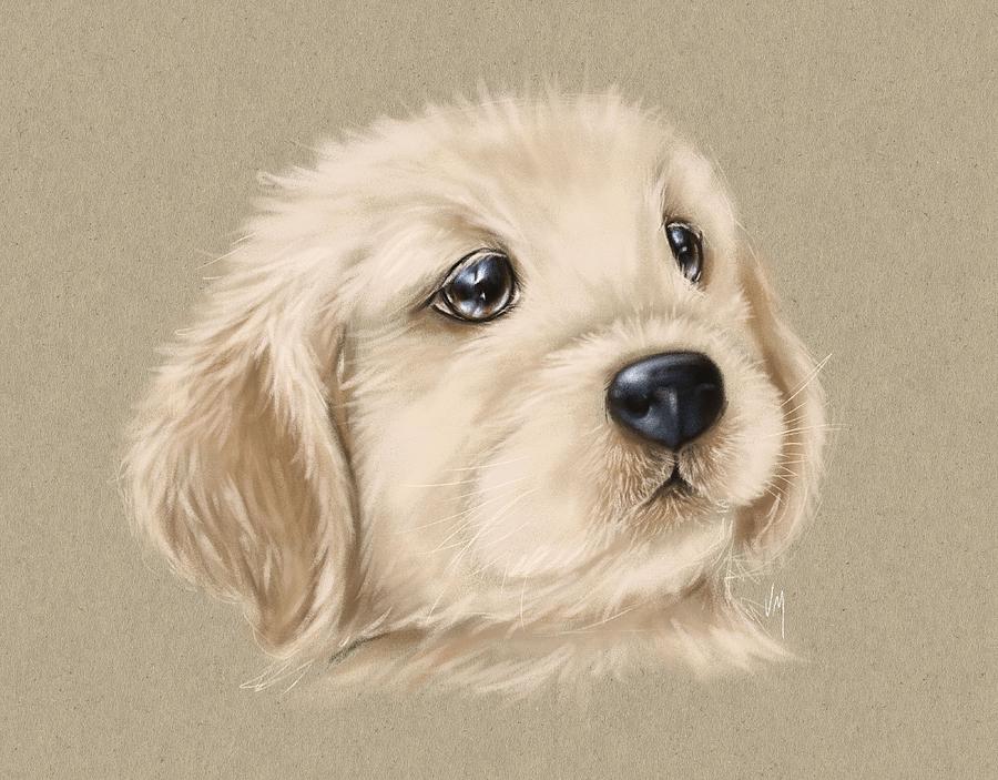 Sweet little dog Painting by Veronica Minozzi