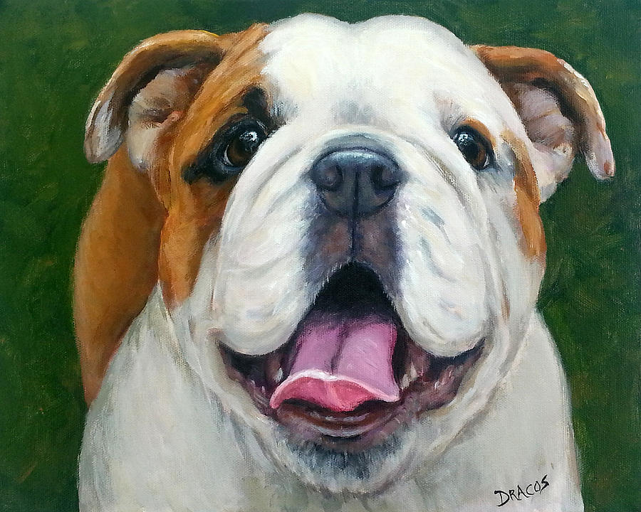 Dog Painting - Sweet Little English Bulldog by Dottie Dracos