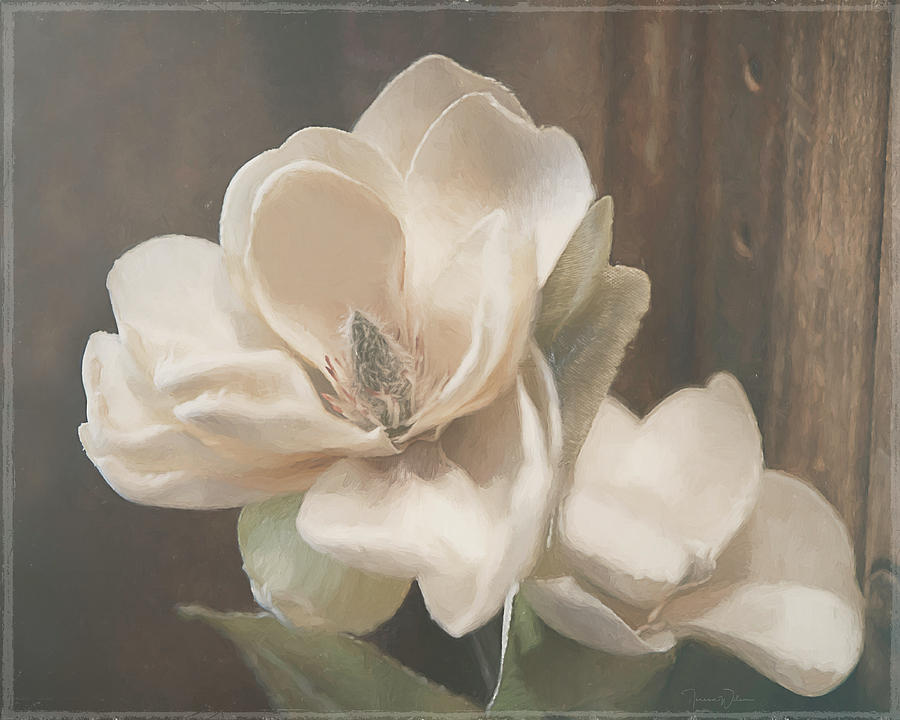 Sweet Magnolia Blossom Mixed Media by Teresa Wilson