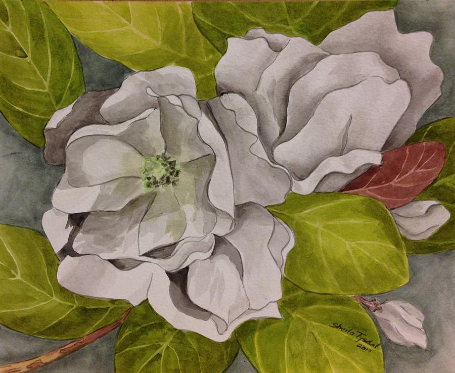 Sweet Magnolia Painting by Sheila Tysdal