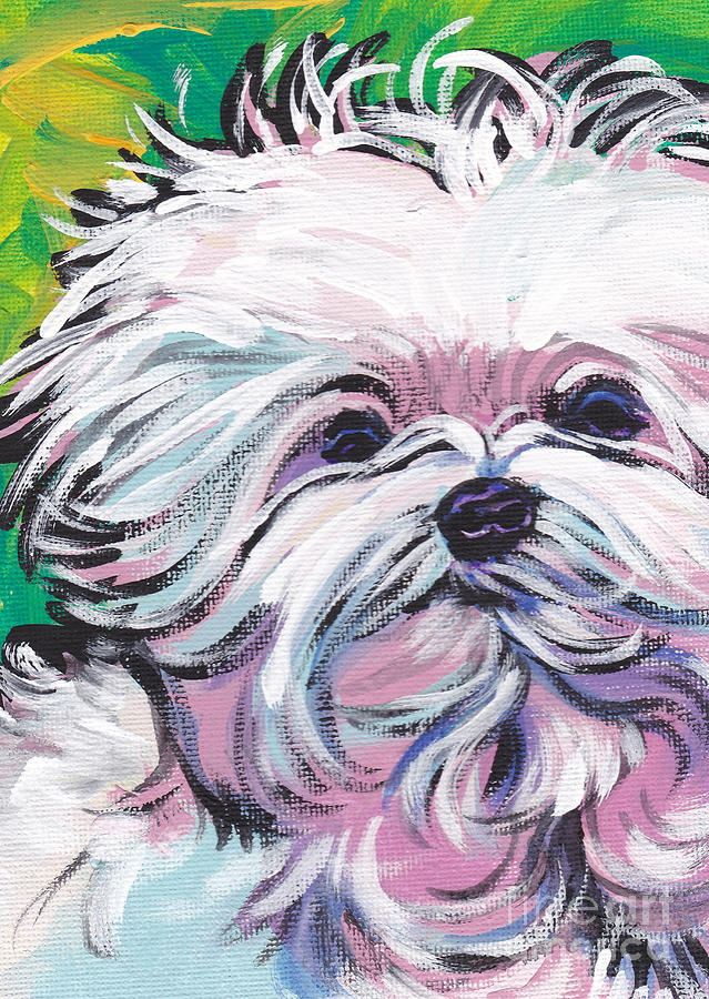 Dog Painting - Sweet Maltese  by Lea S