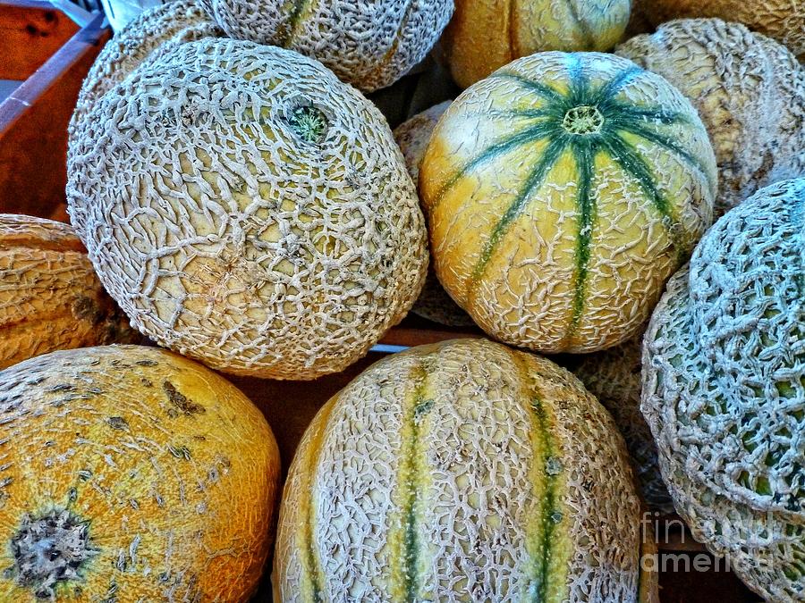 Sweet Melons Photograph by Dee Flouton