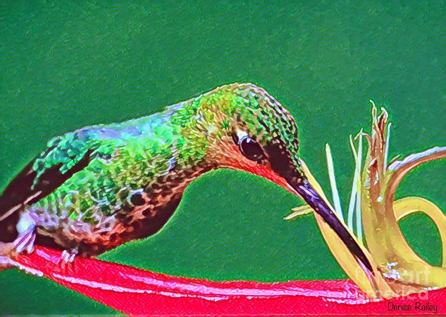 Sweet Nectar Digital Art by Denise Railey