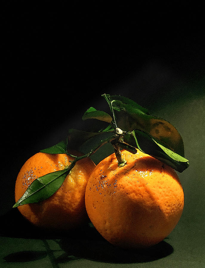 Still Life Digital Art - Sweet Orange by Georgiana Romanovna