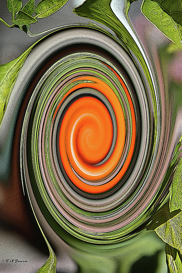 Sweet Orange Pepper Twirl Digital Art by Tom Janca