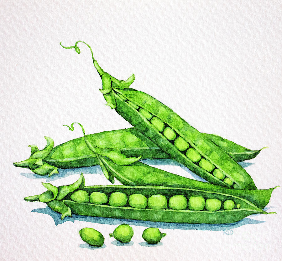 Sweet Peas Painting by Rebecca Davis
