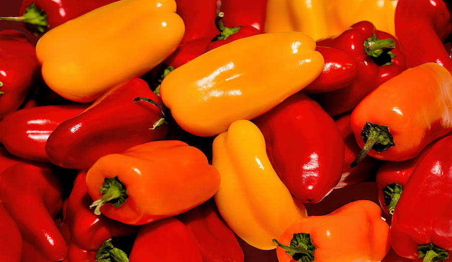Sweet Peppers Photograph