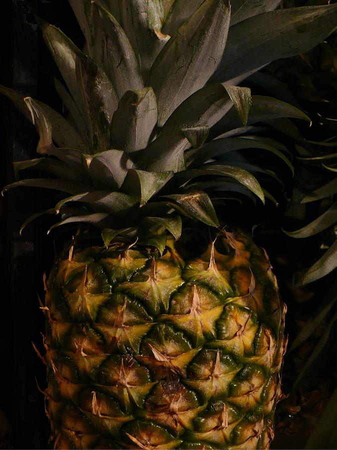 Sweet Pineapple Photograph by Florene Welebny