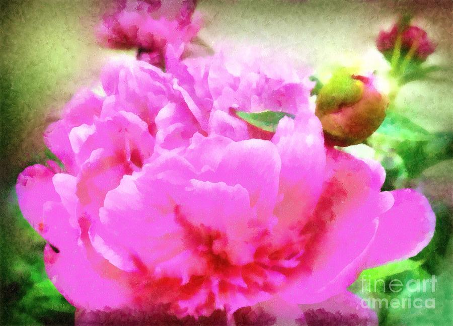 Vintage Photograph - Sweet  Pink Peony by Janine Riley