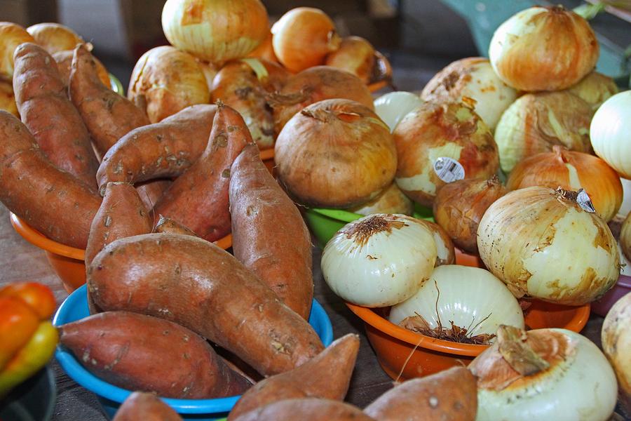 Sweet Potatoes and Onions Photograph by Michiale Schneider