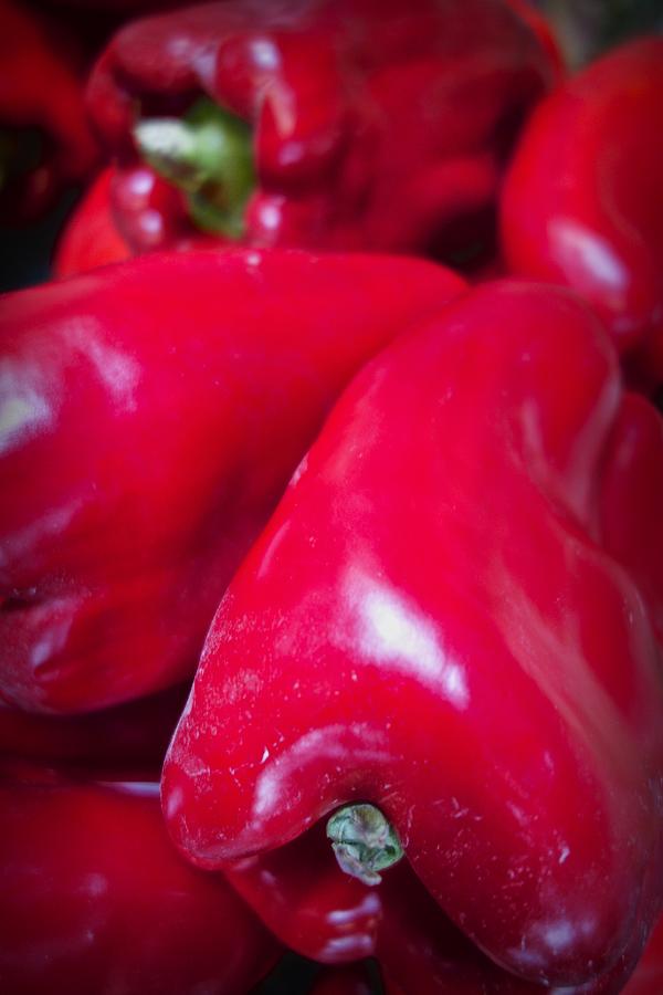 Sweet Red Pepper Photograph by Joan Reese