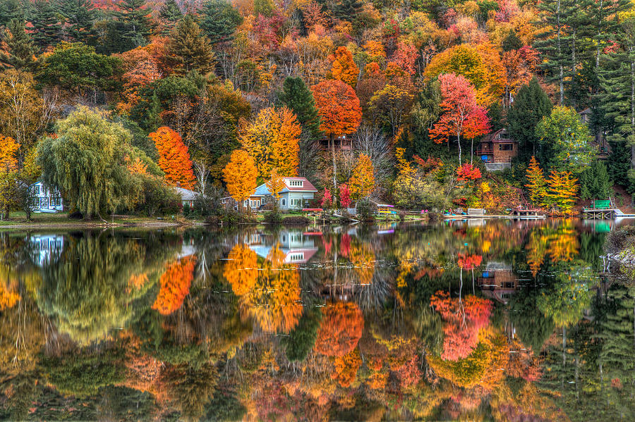 Sweet Reflections Photograph by Tom Weisbrook
