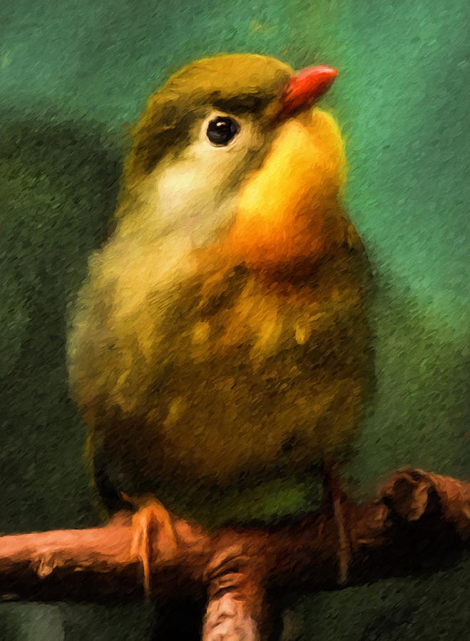 Feather Digital Art - Sweet Song Bird by Georgiana Romanovna