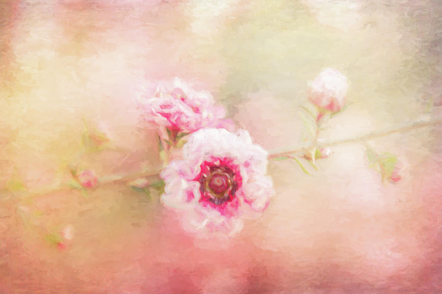 Sweet Spring Blossom Digital Art by Terry Davis