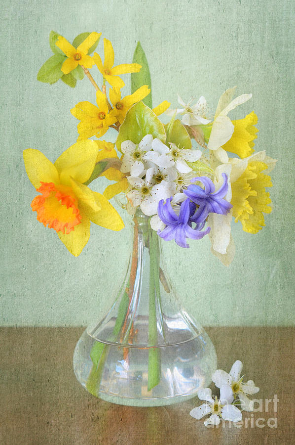 Sweet Spring Bouquet Photograph by Dianne Sherrill