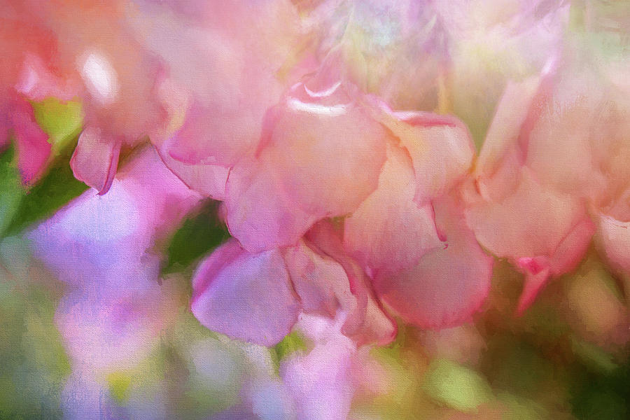Spring Digital Art - Sweet Spring by Terry Davis