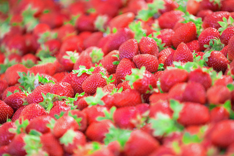 Sweet Strawberries Photograph by Todd Klassy