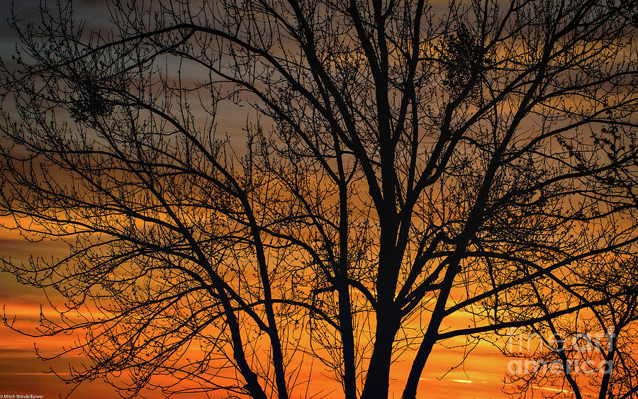 Sweet Sunset Photograph by Mitch Shindelbower