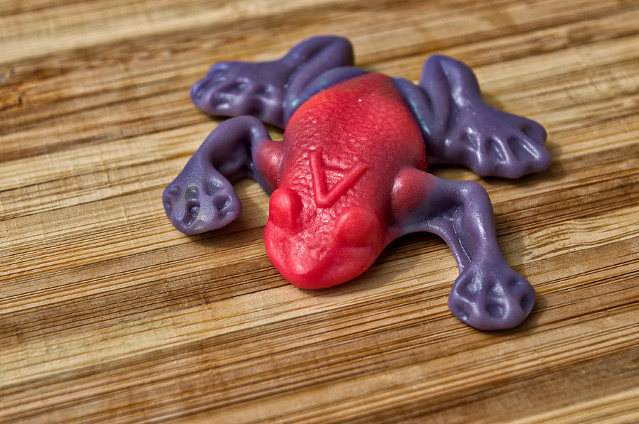 Sweet Treats - Gummy Frog Photograph by Cathy Mahnke