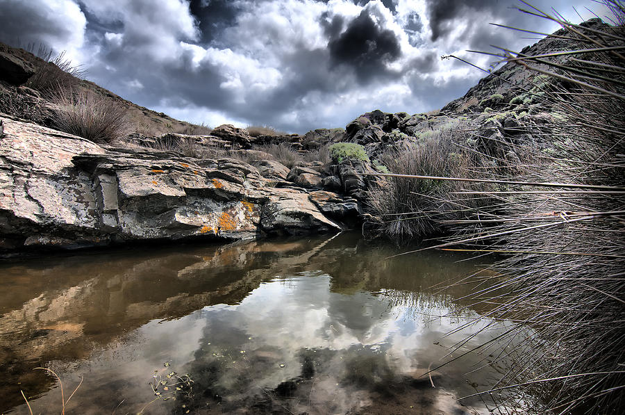 Nature Photograph - Sweet water pond under stormy clouds by Pedro Cardona Llambias
