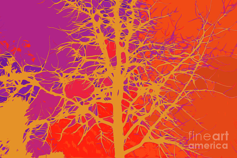 Sweetgum Purple Orange Yellow Digital Art by Chris Taggart