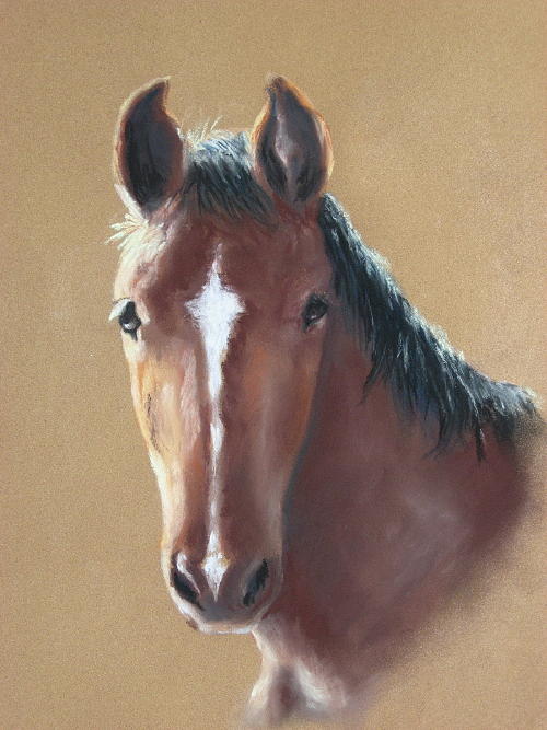 Horse Painting - Sweetie by Carol Mueller Horse Painting - Sweetie by Carol Mueller