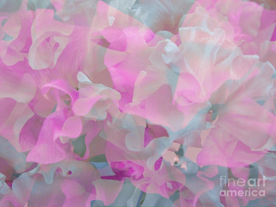 Sweetpea Floral Abstract Digital Art by Joan-Violet Stretch