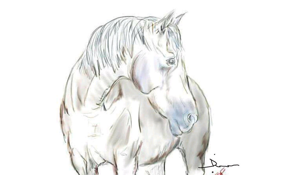 Horse Digital Art - Sweety by Dreana Stenz
