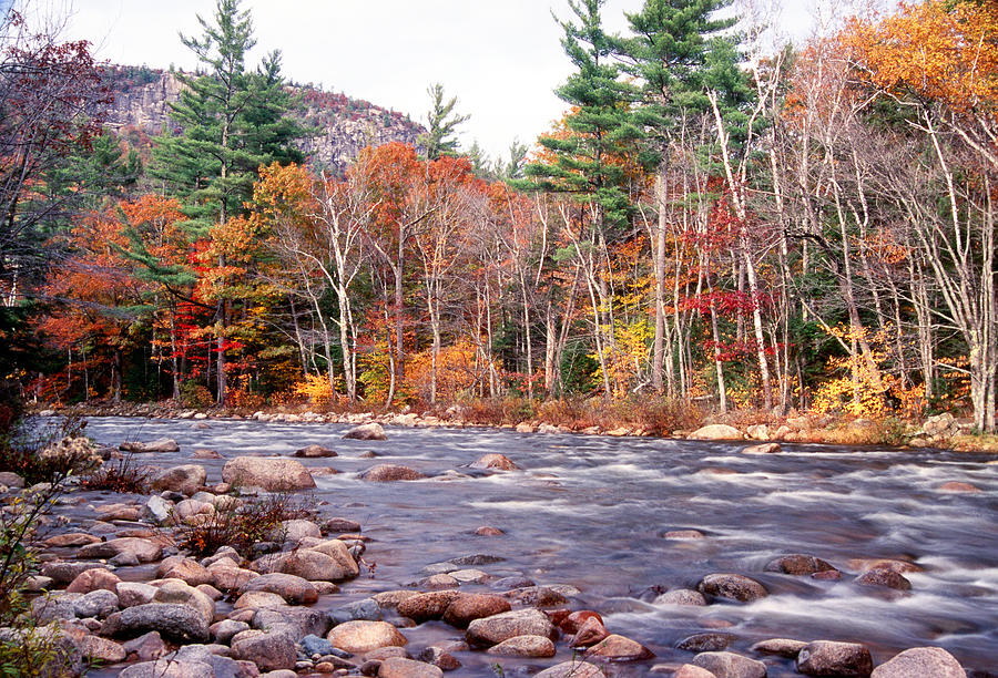 swift river swift river