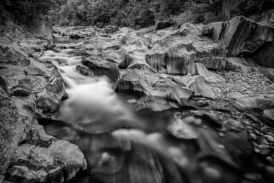Tree Photograph - Swift River in Coos Canyon in Black and White by Rick Berk
