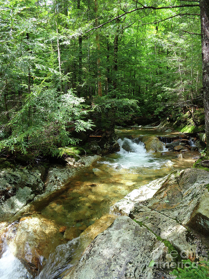 Swift River in White Mountains, New Hampshire Photograph by Maili Page ...