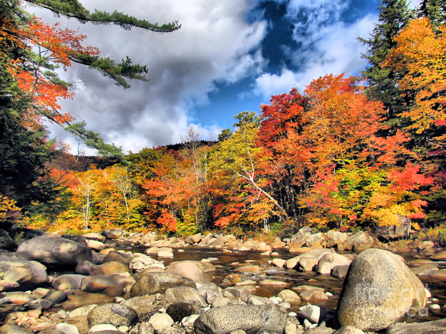 Swift River New Hampshire Photograph by Elizabeth Dow
