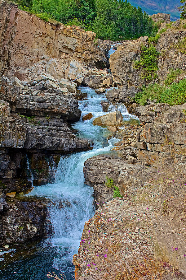 Swiftcurrent Creek Waterfall Twisting Down the Rocks in Glacier ...