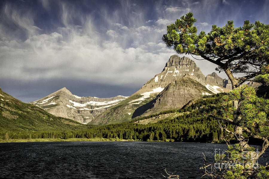 Swiftcurrent Lake Photograph by Timothy Hacker