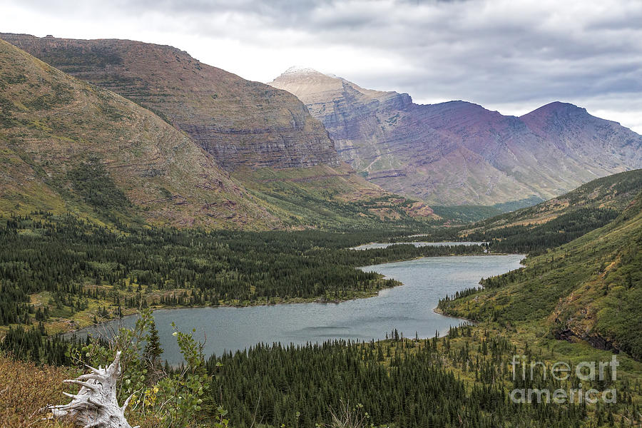 Swiftcurrent Valley Photograph by Jemmy Archer
