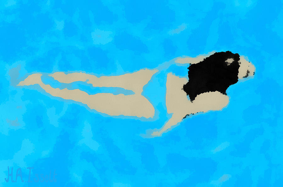 Swim an d Dive IX Digital Art by Humphrey Isselt