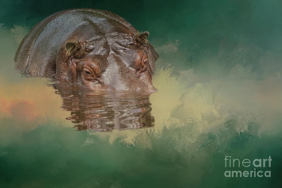 Hippopotamus Photograph - Swimmer by Eva Lechner