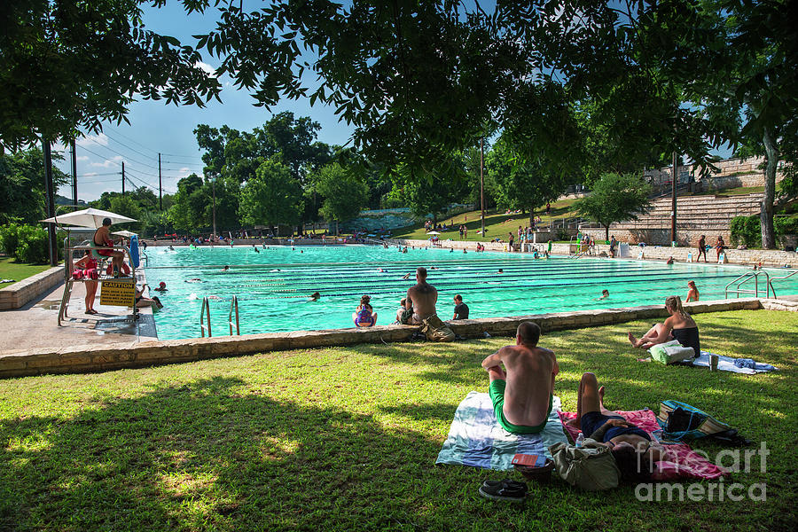 Tree Photograph - Swimmers beat the heat with a dip while others snooze with a nap on the lawn at the Historic Deep Eddy Pool in Austin Texas by Dan Herron