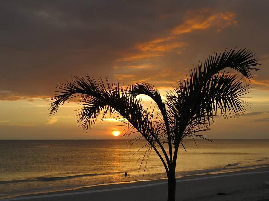 Swimming at Sunset Photograph by Dawn Adamo | Fine Art America